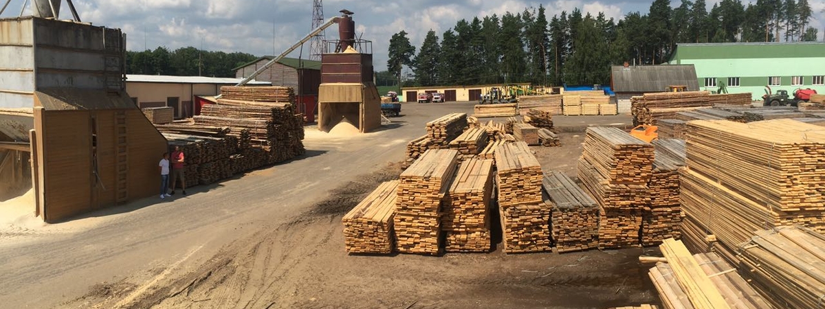 Даже при санкциях, интерес к ресурсам деревообработки в Беларуси есть