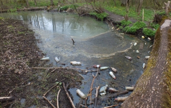 Экологическая акция ко Всемирному дню водных ресурсов «Спасем Росский парк»