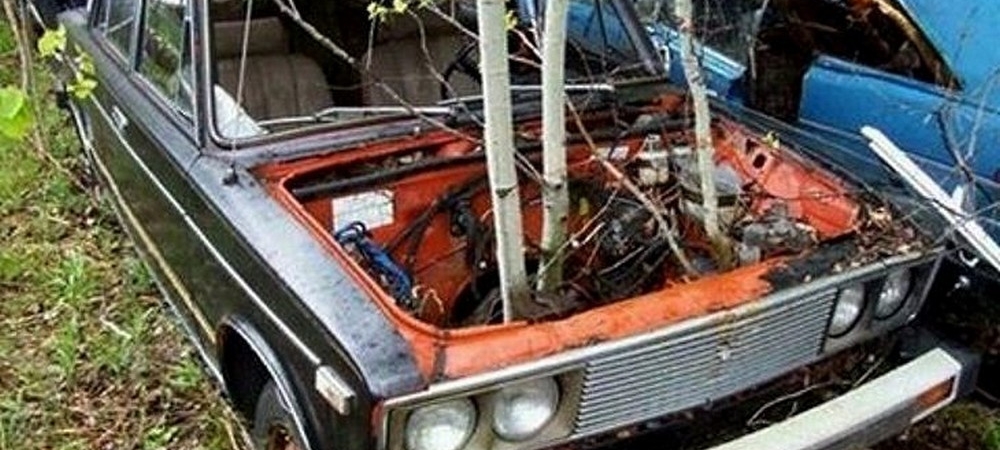 В Канаде нашли кладбище заброшенных Жигулей