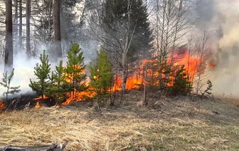О запретах и ограничениях на территории Волковысского района при установлении классов пожарной опасности лесов 