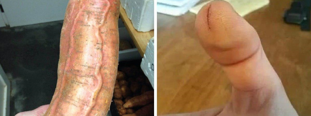 Совершенно безобидные снимки, которые смахивают на кадры из фильмов для взрослых