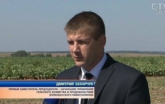 Дмитрий Захарчук проведет прямую линию