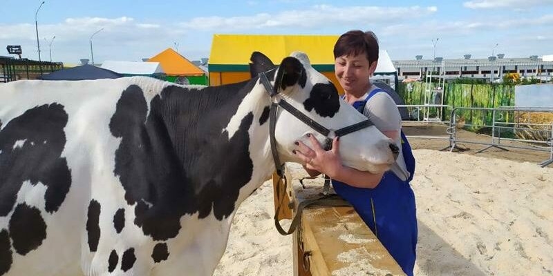 «Белагро-2021»: лучшая племенная корова – в Волковысском районе