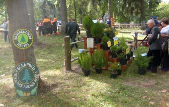 Свіслацкі фэст: фотазамалёўка са свята