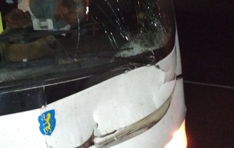 Автобус с игроками «Слонима-2017» столкнулся с лосем