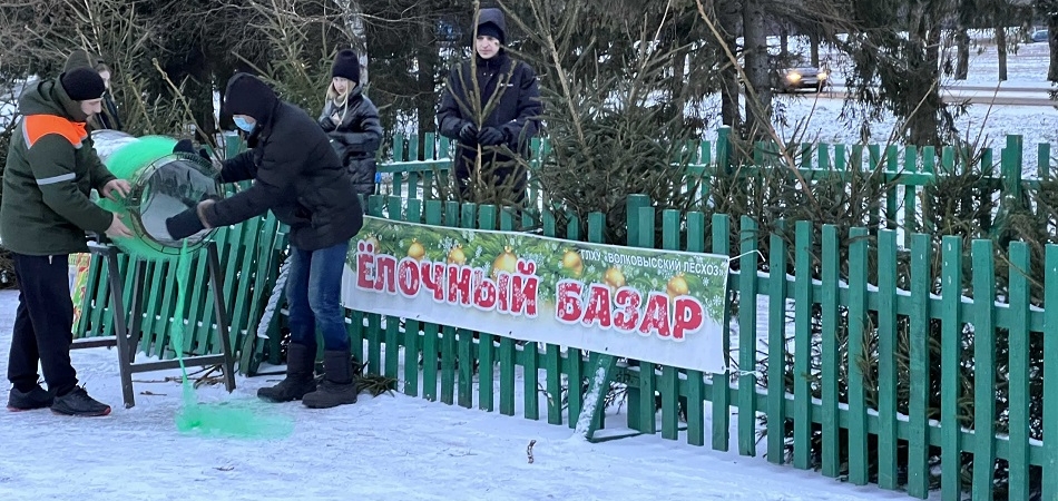 В Волковыске открылись елочные базары
