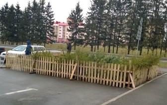 Елочные базары в Гродненской области начнут работу с 18 декабря