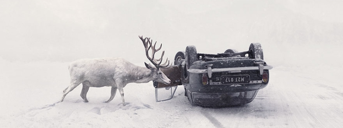 Названы победители престижного фотоконкурса Sony World Photography Awards