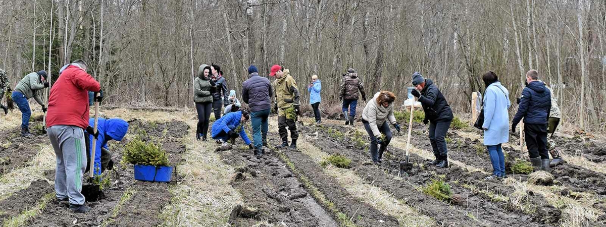 На Волковыщине пройдет акция «Неделя леса-2022». Присоединяйтесь!