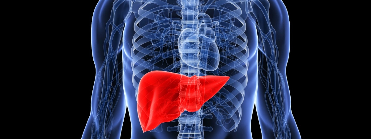 «Щётка» для печёнки: Самое полезное блюдо назвали диетологи