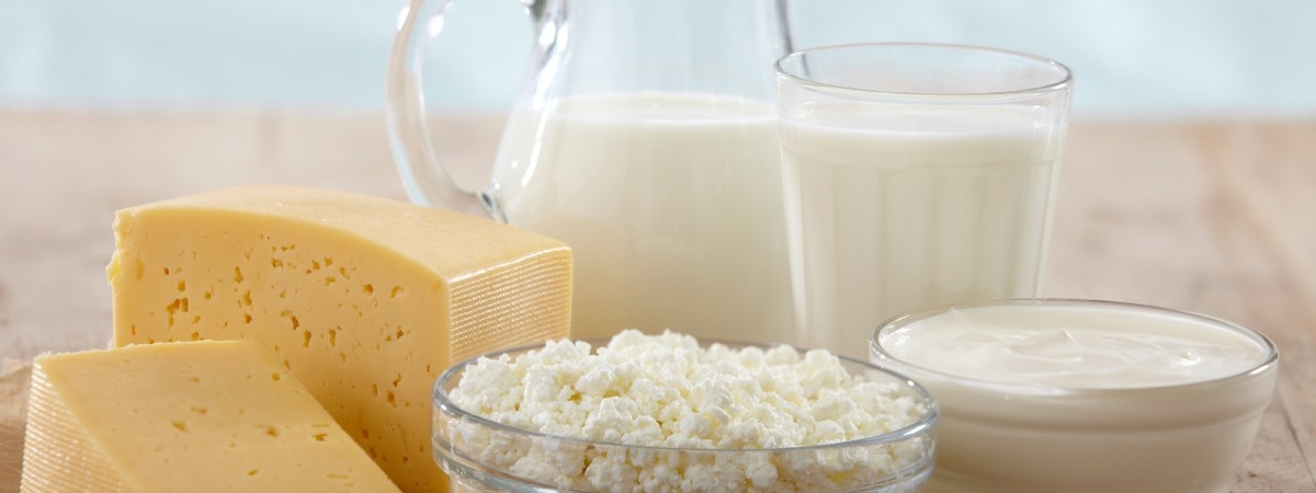 Молочные продукты разрушают почки – учёные