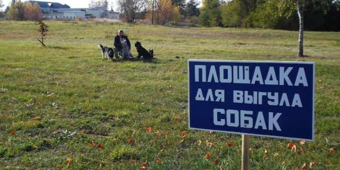 Слонимские чиновники определили места для выгула собак в городе