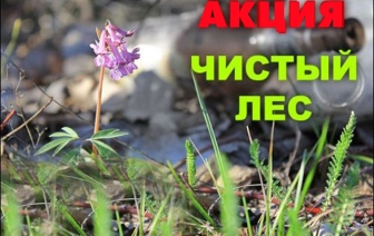 Волковысский лесхоз приглашает принять участие в акции &#171;Чистый лес&#187;