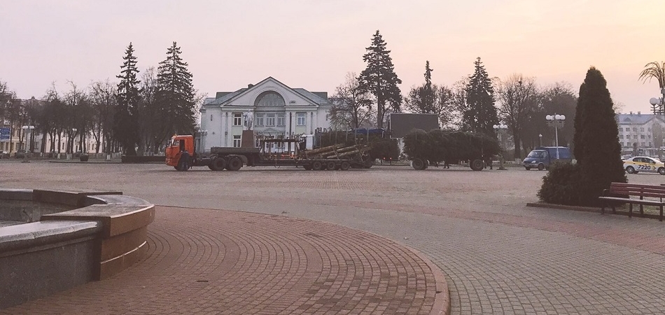 В Волковыске на центральной площади устанавливают новогоднюю елку 