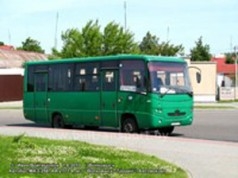 Неделю назад 80-летняя женщина упала в автобусе, а вчера умерла от разрыва почки
