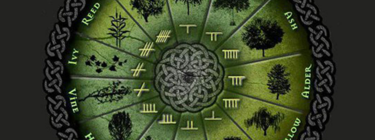 Древняя кельтская астрология: как дерево по гороскопу определяет характер