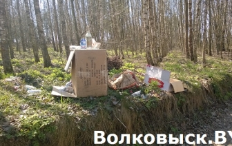 На Волковыщине нарушителей природоохранного законодательства помогут выявить фотоловушки (ОБНОВЛЕНО)