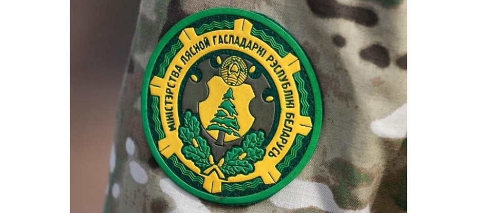 Лесничий из Волковыска в числе финалистов конкурса «Лучший лесничий 2021 года»