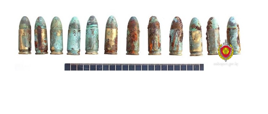 Под Волковыском мужчина нашел в лесу пистолет модели 1935 года и более ста патронов