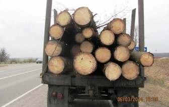 Работник коммунального предприятия перевозил деловую древесину без сопроводительных документов