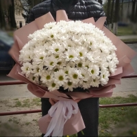 ЦветОк