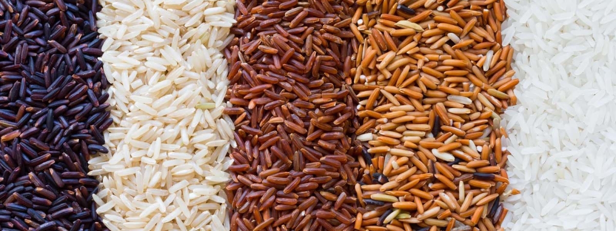 Бурый лучше белого: Медики рассказали, какой рис выбрать для долголетия