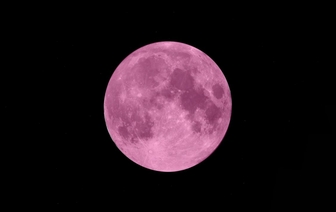 Розовая луна в апреле 2020: когда белорусы увидят самое яркое явление года
