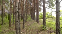 Скончался от побоев (обновлено)