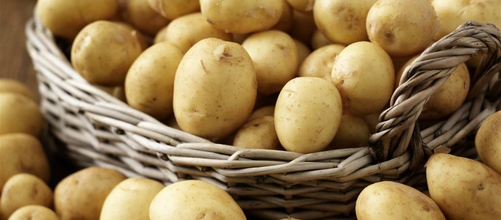 Крошка-картошка. Обычный картофель быстро снимает боли при язве