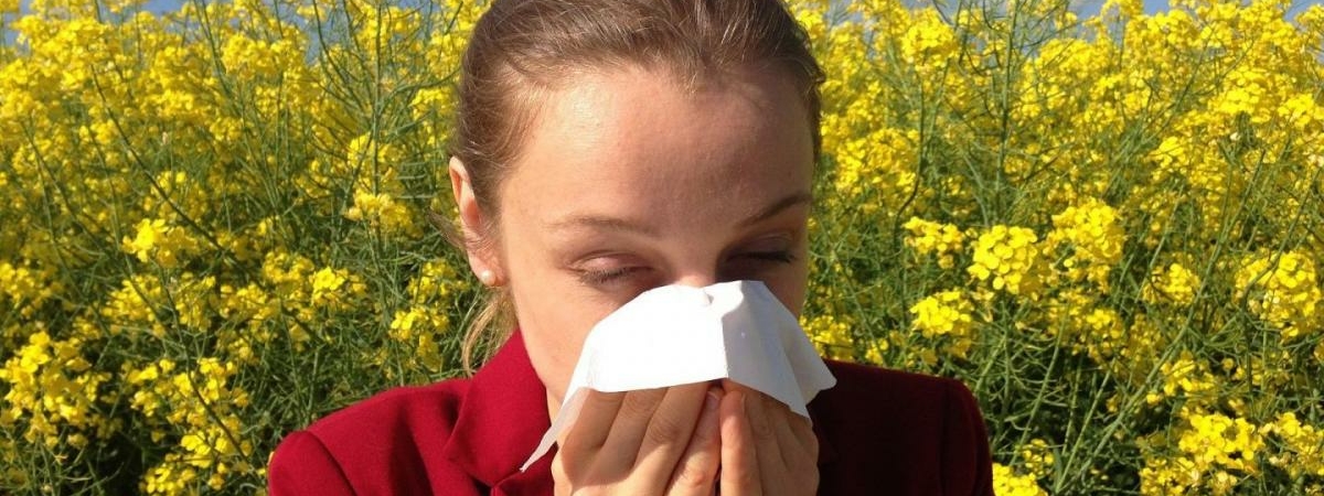 Пыльца вызывает не только аллергию, но и повышенное давление – учёные