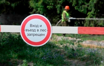 Ограничение на посещение лесов введено в Волковысском районе