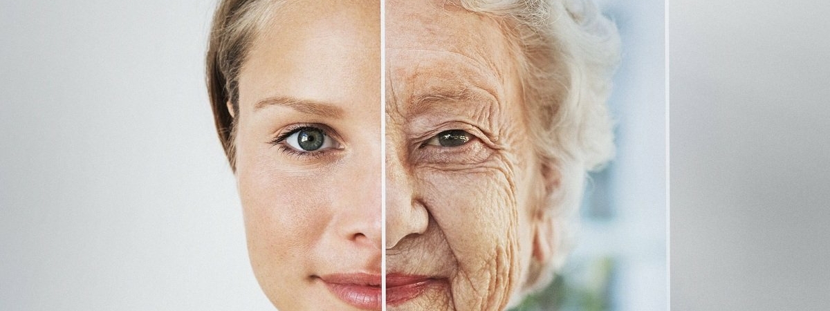 Ученые назвали продукт, который поможет замедлить старение