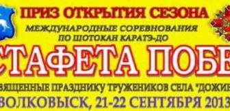 Турнир по каратэ Эстафета побед-2013