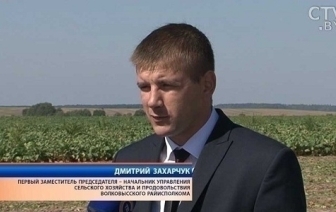 4 июля Дмитрий Захарчук проведет прямую линию