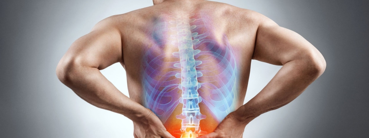 Осанка и биоэнергетика: почему важно держать спину прямо