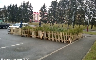 В Волковыске открылись елочные базары