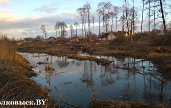 Коммунальники продолжают благоустройство реки Волковыя