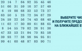 Тест-предсказание: выбери три числа и узнай, что с тобой случится до конца лета