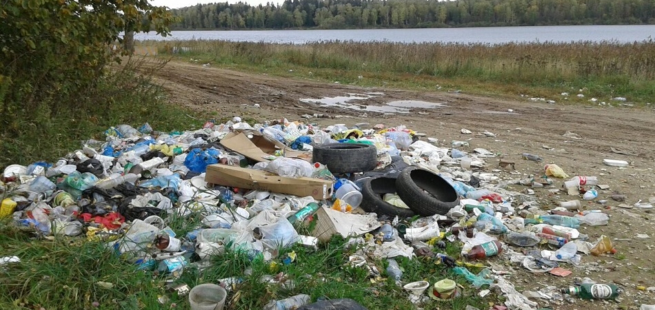  Эксперты рассказали, как в области наводят порядок на земле