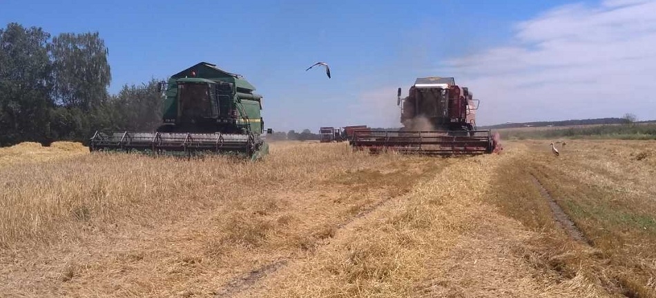 Неплатежеспособные сельхозпредприятия Волковысского района получат современную технику и оборудование
