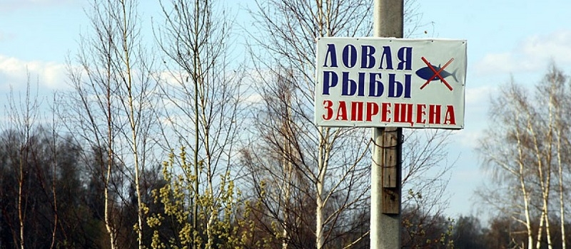 Внимание – нерест!