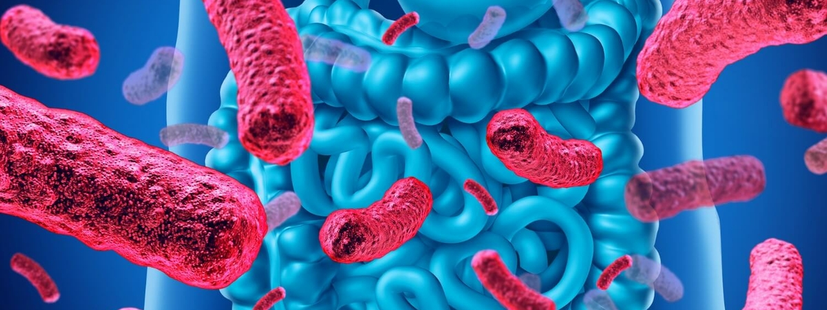 Кишечные бактерии усугубляют болезнь Паркинсона - медики