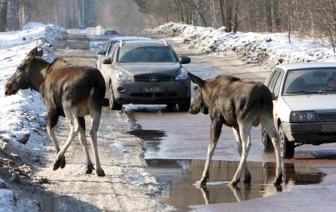 Осторожно на дорогах!