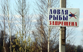 Внимание – нерест!