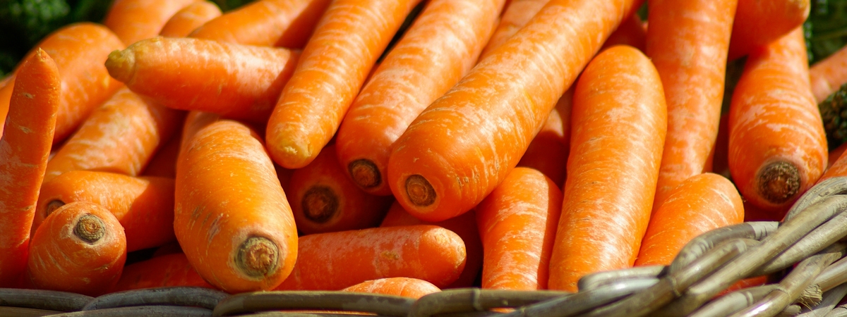 Врачи раскрыли правду о влиянии моркови на зрение