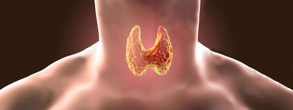 Щитовидная железа играет большую роль в женском организме