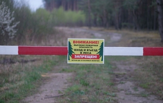Посещение лесов ограничено в Волковысском районе