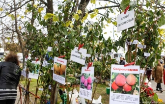 В Волковыске пройдут весенние ярмарки