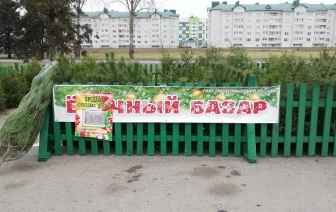 В Волковыске открылись елочные базары