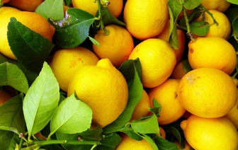 Лимон борется с раком в 10 000 раз эффективнее, чем химиотерапия